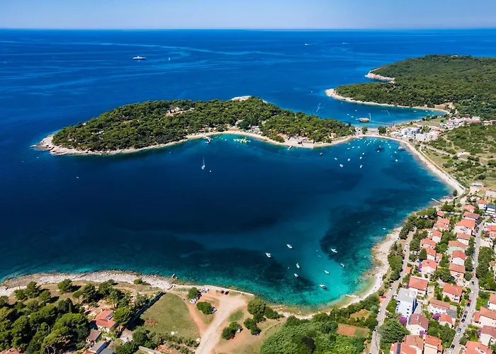 Caesars Palace - New Modern With Free Private Parking *